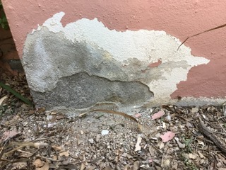 Peeling stucco in Tuscon.