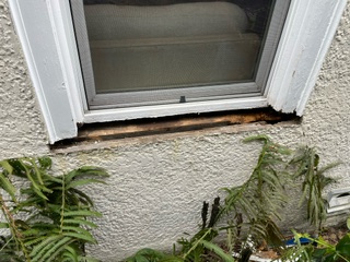 Rotten window sill.